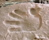 sand01.jpg