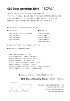 WS2010.pdf